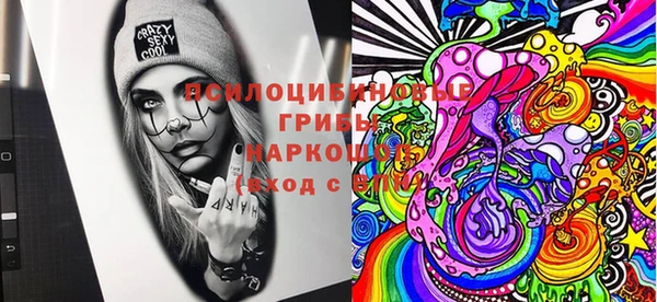 молекула духа Алексин
