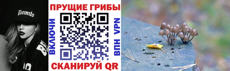 hydra маркетплейс  Серафимович  Галлюциногенные грибы Psilocybe 